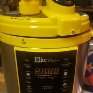 Elite 4QT Pressure Cooker